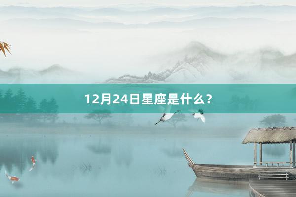 12月24日星座是什么？